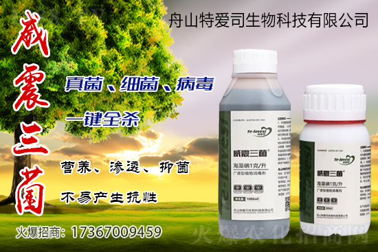 �������r��