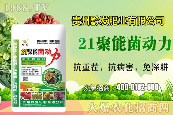 黔發(fā)肥業(yè)再度攜手1988.TV,攜手打造招商奇跡!