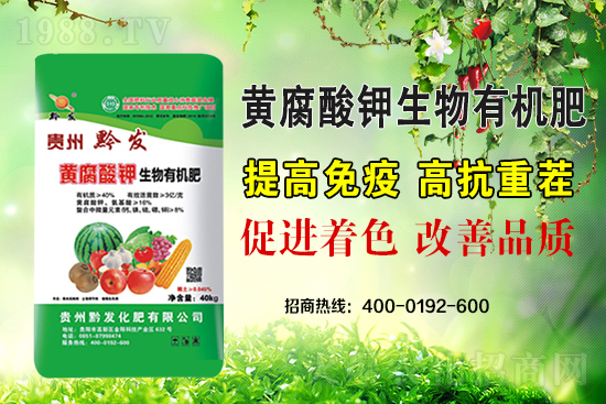 黔發(fā)肥業(yè)再度攜手1988.TV,攜手打造招商奇跡!