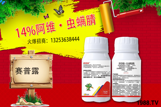 ِ��¶����𱬁�(l��i)�u���ٺ����r(n��ng)�����̾W(w��ng)�_(k��i)��(chu��ng)���x����