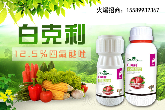 ��(gu��)�|���m(x��)�s1988.TV����(zh��n)�Ժ����P(gu��n)ϵ�������_(t��i)�A��