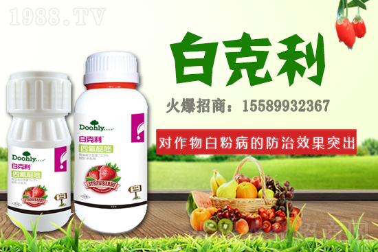 ��(gu��)�|���m(x��)�s1988.TV����(zh��n)�Ժ����P(gu��n)ϵ�������_(t��i)�A��