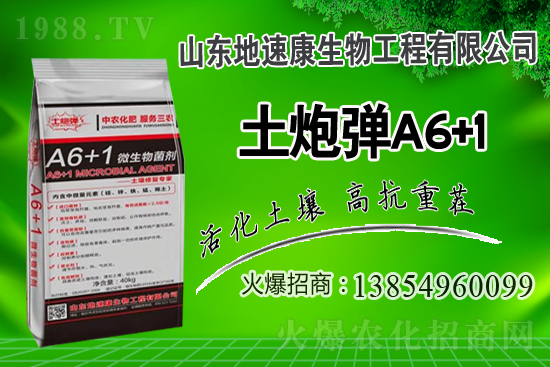    合作關(guān)系再升華，山東地速康與1988.TV開啟新篇章！