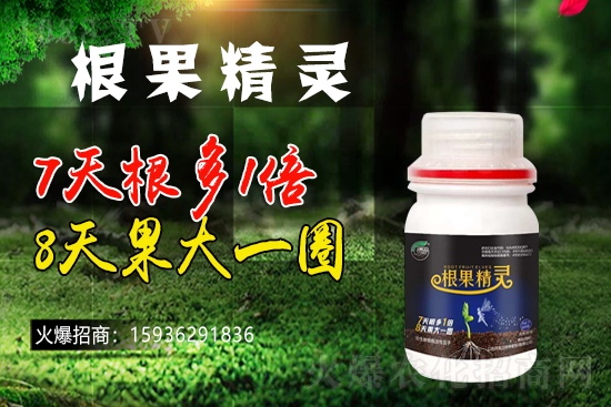 ��ɫ�и��m���m(x��)1988.TV�����\�����°l(f��)չ��