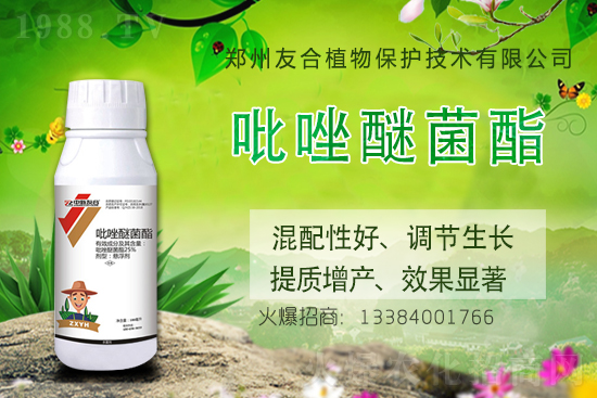 ���@����