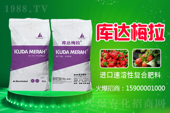 ��(f��)�Ϸ��ǵ�߀�ǝq�����ڏ�(f��)�Ϸʃr(ji��)�������߄ݣ�7��27�գ�