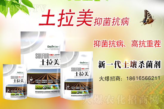 智利道西姆再簽1988.TV,開(kāi)啟網(wǎng)絡(luò)招商新模式!