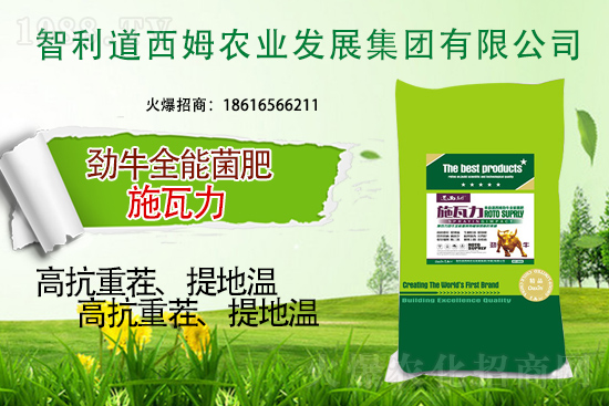 智利道西姆再簽1988.TV,開(kāi)啟網(wǎng)絡(luò)招商新模式!