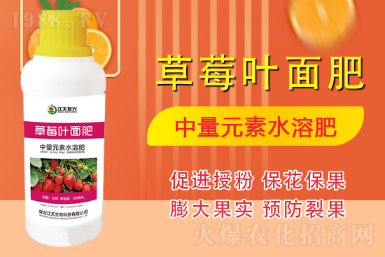 �����l(f��)չ������(chu��ng)δ�����������ﺞ�s1988.TV������(chu��ng)���x�ͣ�