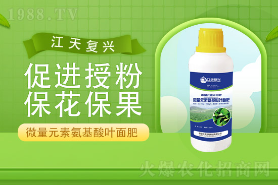 �����l(f��)չ������(chu��ng)δ�����������ﺞ�s1988.TV������(chu��ng)���x����