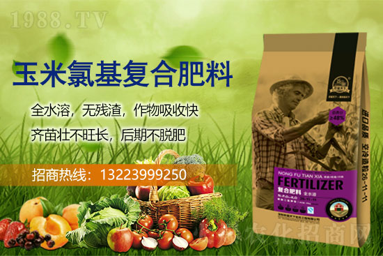 ���׃r(ji��)��