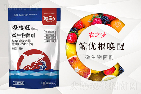 2021年8月25日氯溴異氰尿酸殺菌劑價(jià)格行情