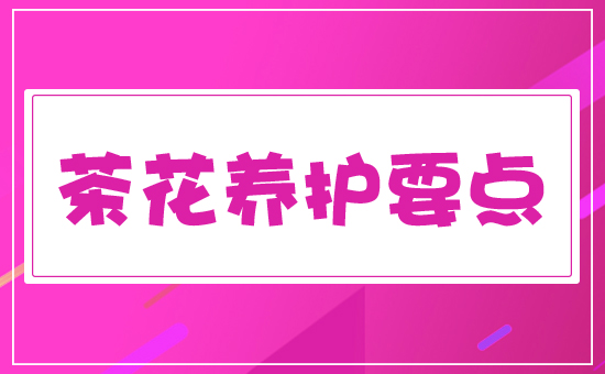 �軨�B(y��ng)�o(h��)Ҫ�c
