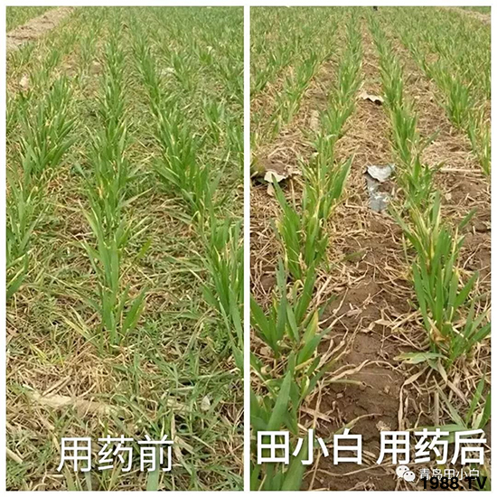 С���s������(ji��)��(ji��)�����E�ɞ�(z��i)����ô�k��С�����݄���ô�x