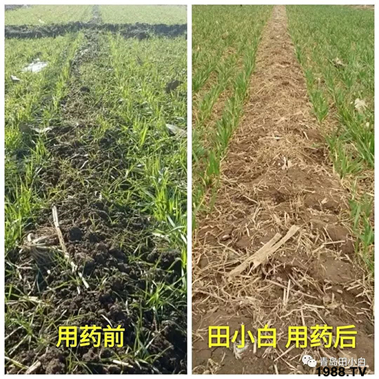 С���s������(ji��)��(ji��)�����E�ɞ�(z��i)����ô�k��С�����݄���ô�x