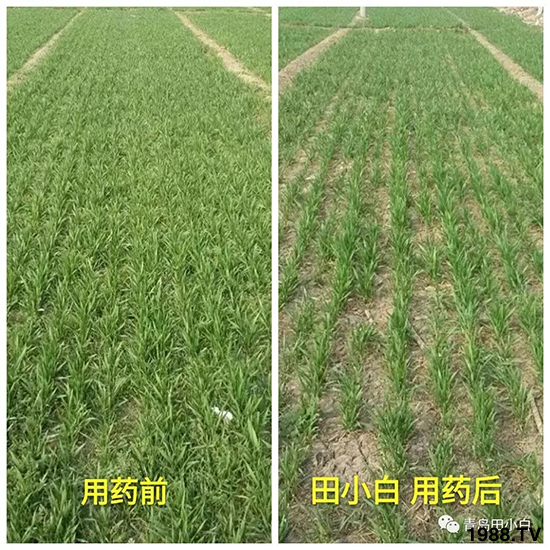 С���s������(ji��)��(ji��)�����E�ɞ�(z��i)����ô�k��С�����݄���ô�x