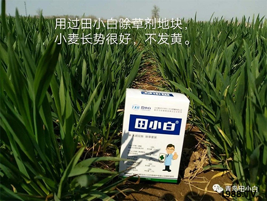 С���s�ݣ���(ji��)��(ji��)�����E�ɞ�(z��i)����ô�k��С�����݄���ô�x