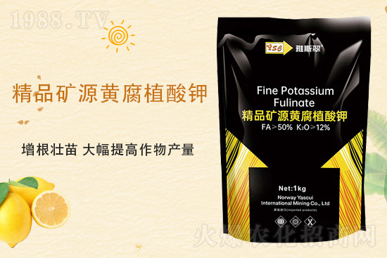 2021��9��25�Շ�(gu��)��(n��i)���؃r(ji��)�������Ӎ