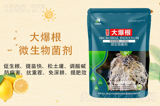 ���@�r(ji��)��ַ�(w��n)��2021��9��3�����@�r(ji��)���������