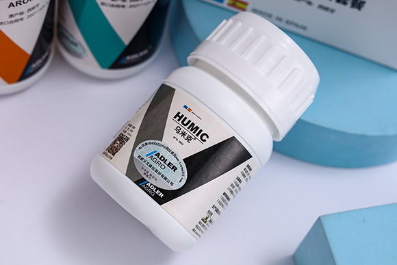 ���׿�-�͂��_