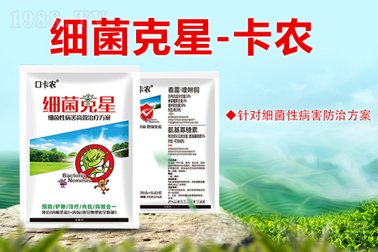 山東卡農(nóng)化學有限公司38