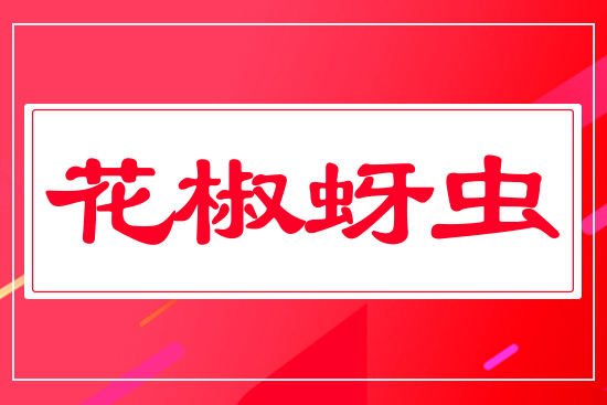 �������x(ch��ng)