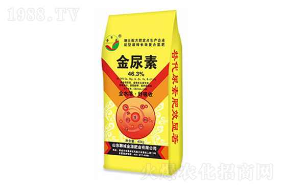 ���؃r���ϝq��2022.3.11���؃r������һ�[