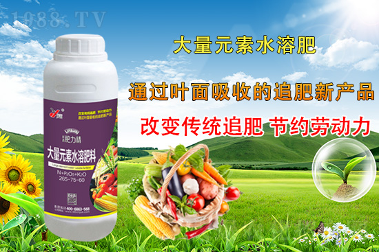 �����仨����������Ͳ��ü������l(f��)�������ٻ����������E���@��