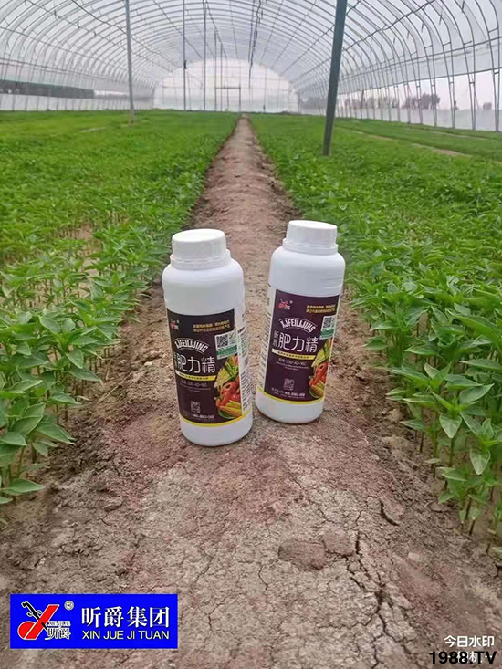 �����仨����������Ͳ��ü������l(f��)���ܣ��ٻ����������E���@��