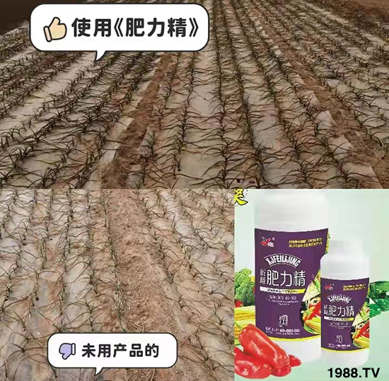 �����仨����������Ͳ��ü������l(f��)�������ٻ����������E���@��