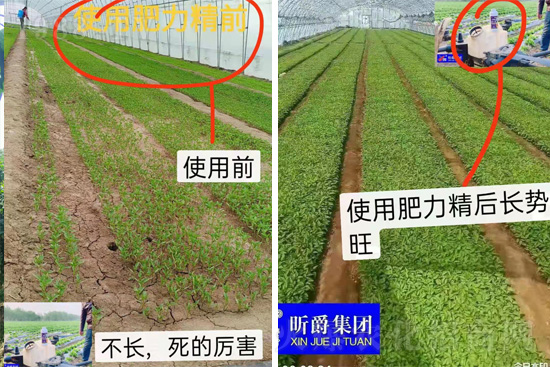 �����仨����������Ͳ��ü������l(f��)�������ٻ����������E���@��