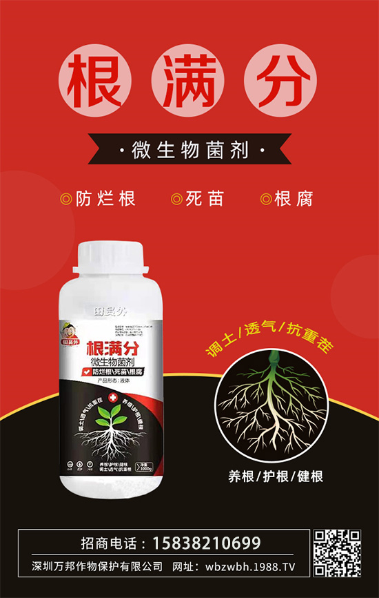 作物死苗爛根多,發(fā)育不良怎么辦!如何拯救作物根系?