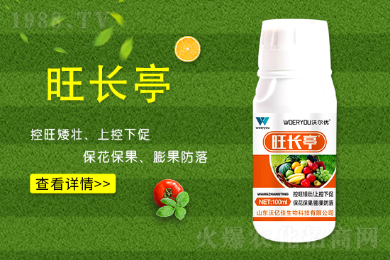 ʲô���S�����L���S�����L�ķ��ش�ʩ