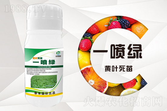 �����߲������ʲô������������ô��Q��