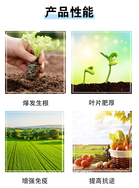 ���ϚW���r�I(y��)�Ƽ����޹�˾833074_03