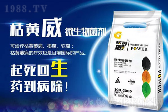 ���Sή�����ݵȲ������Ӝ皢�������͉�����