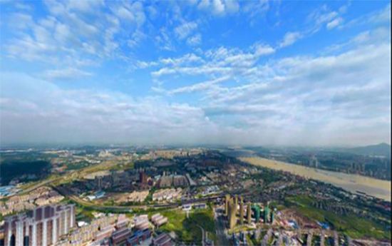 ȥ����2022ȫ��ֲ������������Щُ����c(di��n)