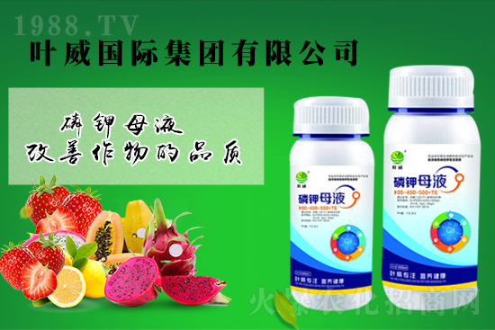 鉀肥價(jià)格回暖?4月5日鉀肥價(jià)格行情