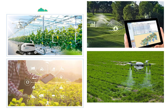 2022�����I�r(n��ng)�Y���[��18