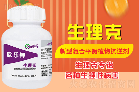 ����Ě������ʲô�Y������ô��Q����Ě������