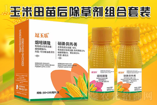玉米除草效果差,什么原因?玉米除草劑怎么選?