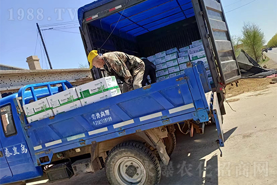 暢銷爆品!實(shí)力廠家!格瑞卡2號發(fā)貨不停歇