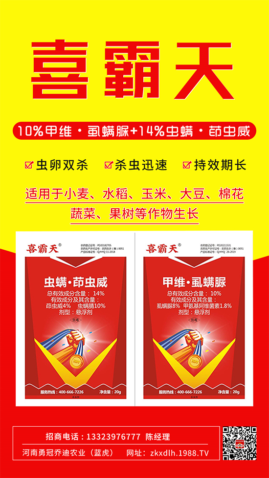 С�˶��������xΣ����̫�y���@����ˎ��һ��һ����!