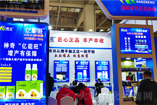 ֲ�ﲡ�����ġ����ǡ����ٚ����x�׷�ʭ������Ч���L�_40����