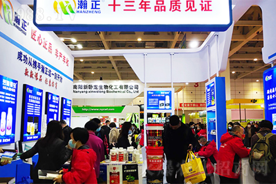 ֲ�ﲡ�����ġ����ǡ����ٚ����x�׷�ʭ������Ч���L�_40����