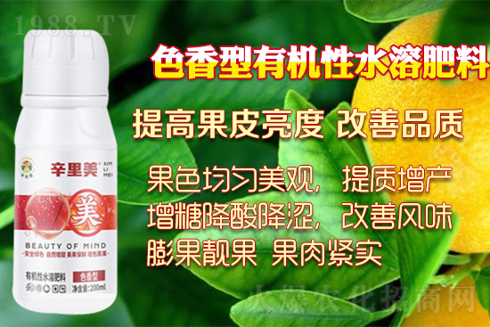 ������ɫ�������ĺÎ�����������ɫ�������磡