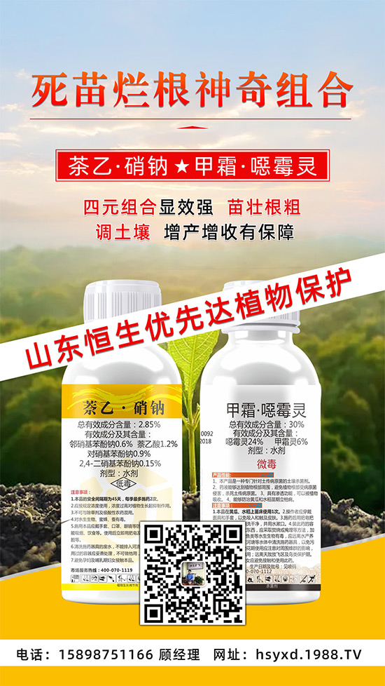 根腐、立枯、死苗爛根導(dǎo)致作物的“元兇”!這樣防治輕松搞定!