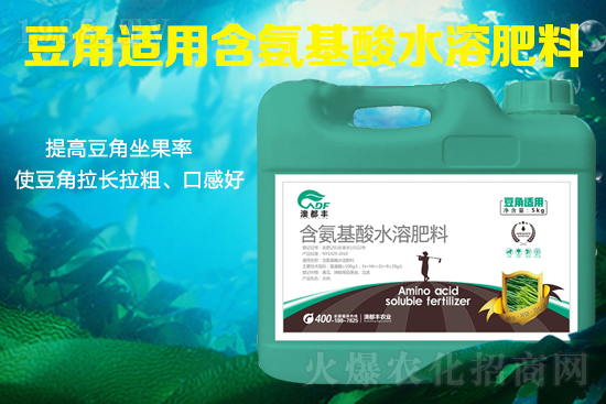 豆角需肥特性是什么?豆角怎么施肥才能提高產(chǎn)量?