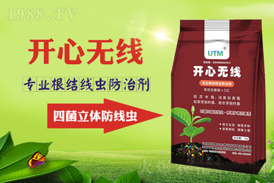 ���Y(ji��)���xΣ���������x������Ҋ�R����