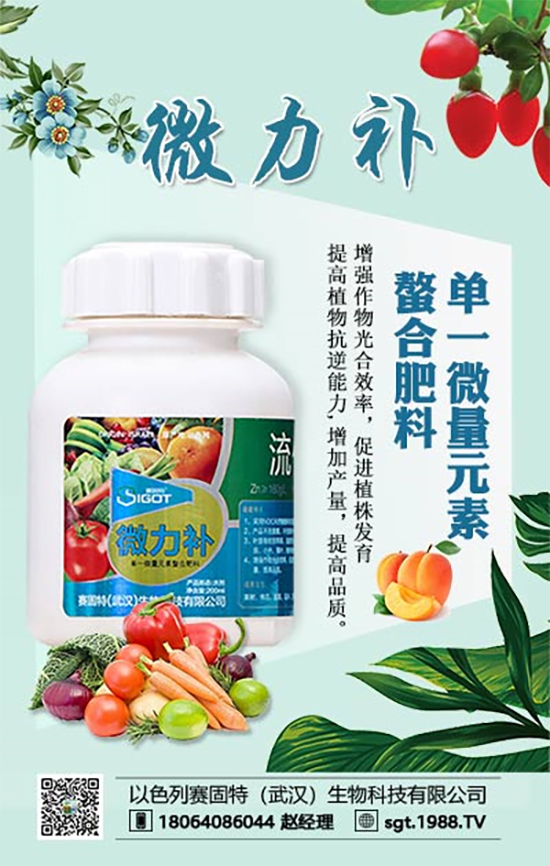 ���ι���С�~���S�~����������������